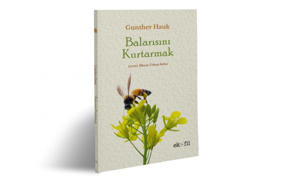 Nedenleri bu kitapta